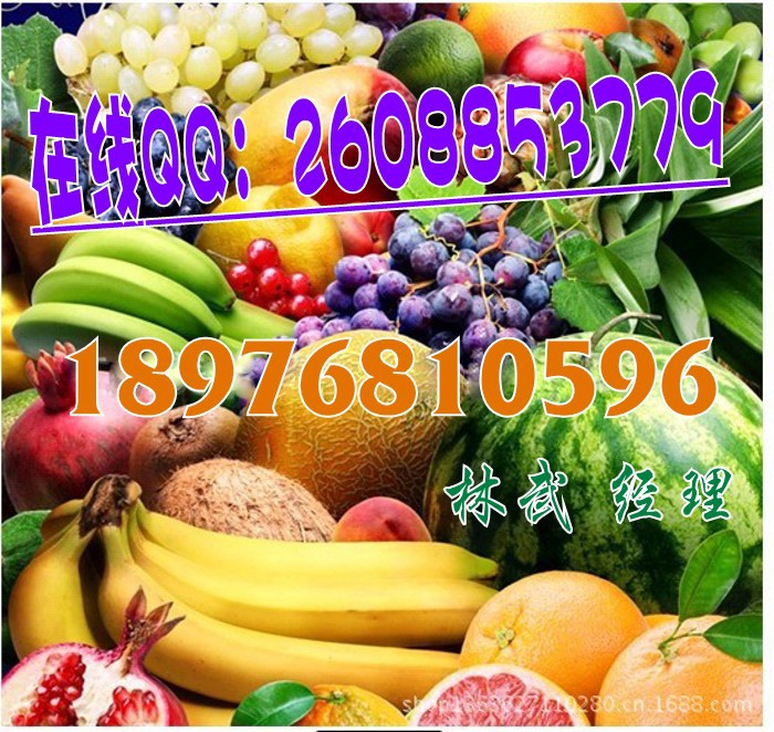 ͺϹߴͷ2_conew1