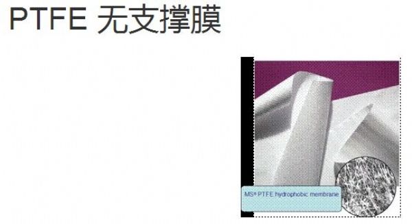 PTFE ˮo֧Ĥ