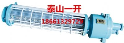 VL(zhng)Σ