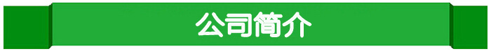 公司簡介